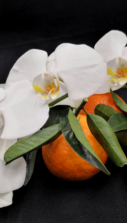 ÈVEILLE SENSUEL | MANDARINETTO E ORCHIDEA